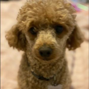 Meet your Posher, Kath